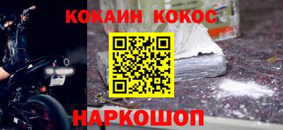 шишки Дубна