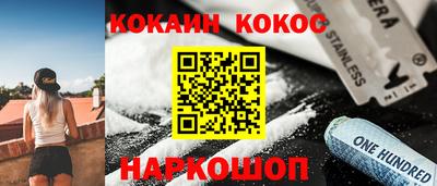 шишки Дубна