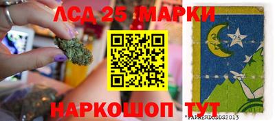 шишки Дубна