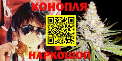 шишки Дубна