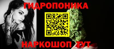 шишки Дубна