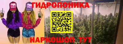 шишки Дубна