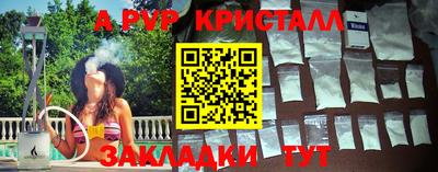 шишки Дубна