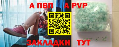шишки Дубна